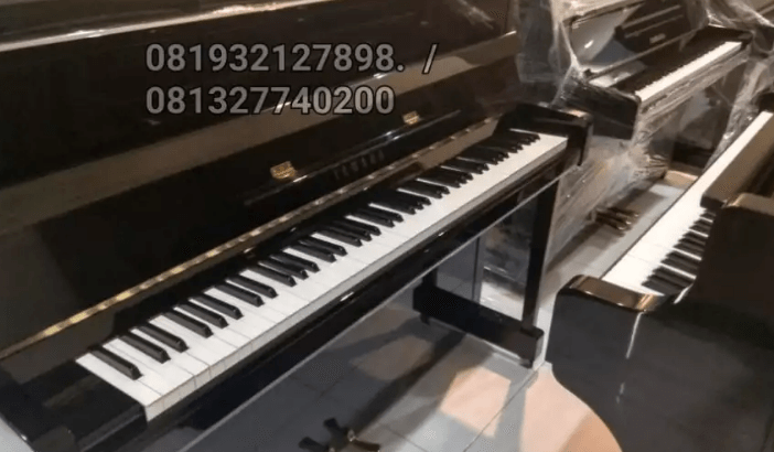 Yamaha & Kawai Piano Lu 80 90.101 110 U1 U2 U3 UX G H M A Bl 51 Bl 71