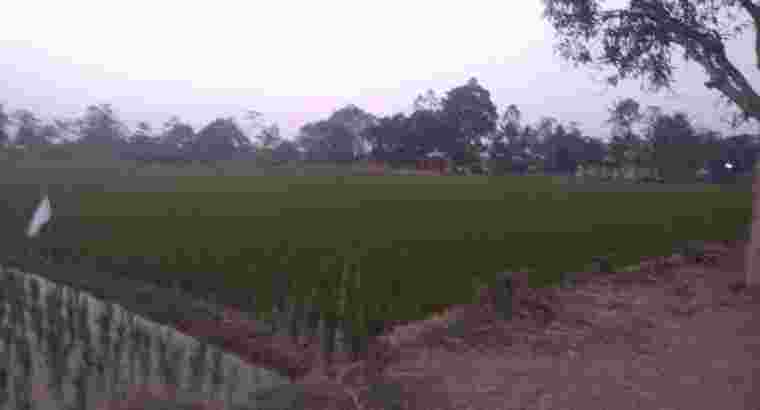 jual tanah sawah