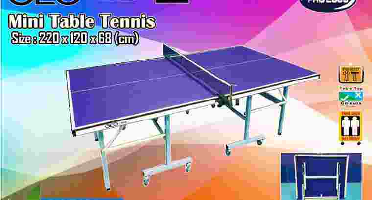 Tenis Meja Pingpong Mini merk GEO NX-9 Kids
