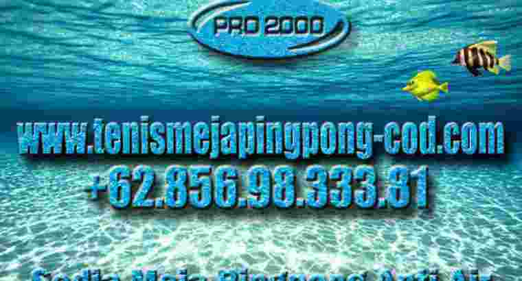 Tenis Meja Pingpong Outdoor merk DOUBLE FISH AW –