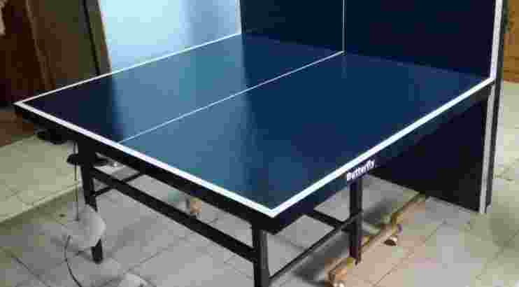 tenis meja pingpong butterfly SNI baru siap kirim