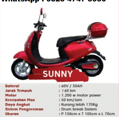 Sepeda Motor Listrik U-Winfly Sunny