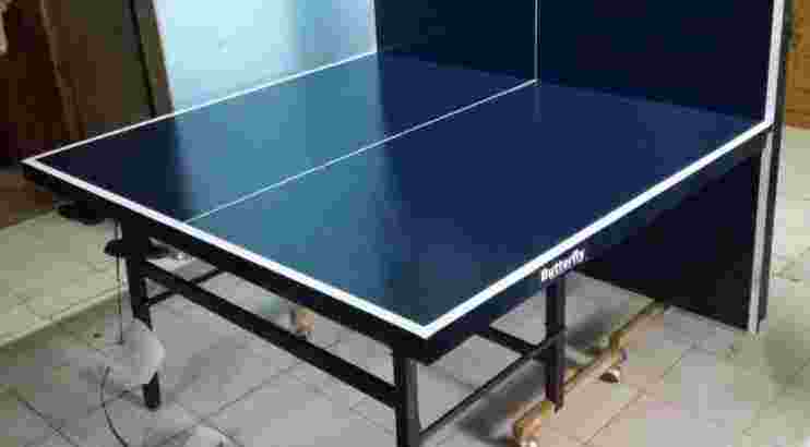 tenis meja pingpong butterfly SNI wa.087765539353