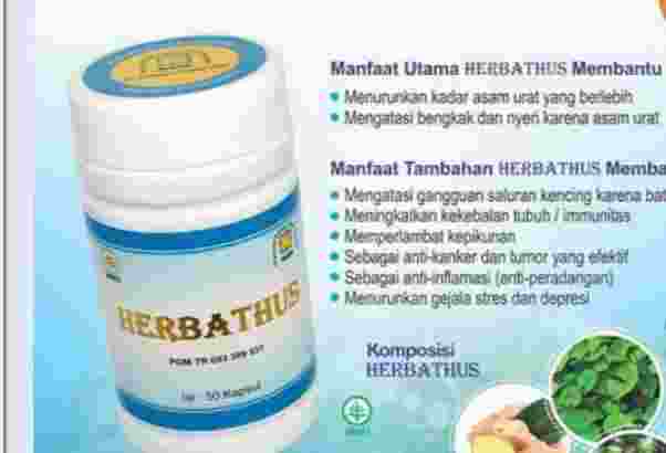 Herbatus