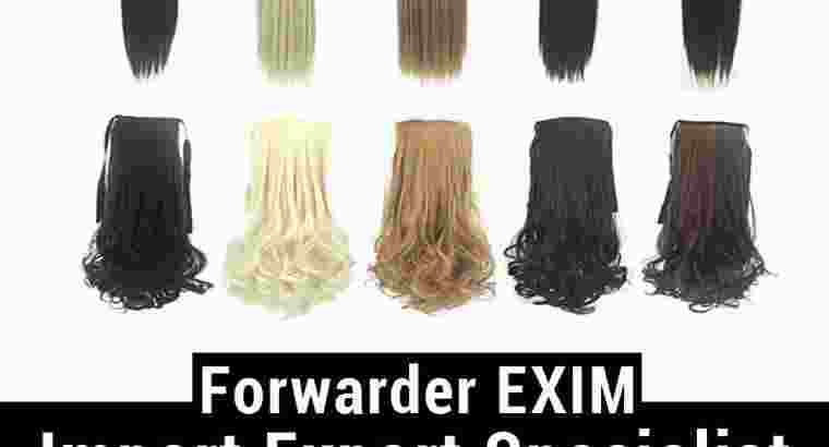 Forwarder EXIM | Jasa Import Rambut Palsu