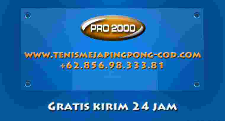 tenis meja ping pong merk WINNER SP 1800