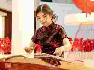 Musik Mandarin Harpa Guzheng Dll