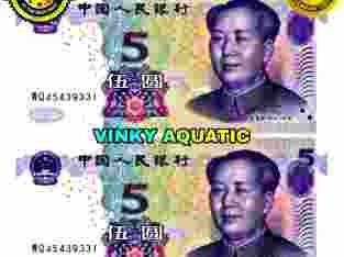 UANG KERTAS 5 YUAN RMB CHINA CNY GOOD QUALITY