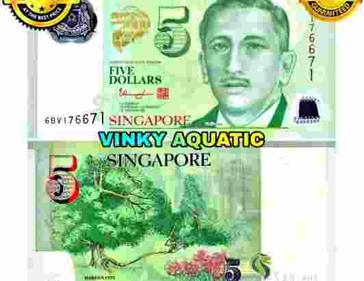 UANG KERTAS 5 DOLLAR SINGAPURA SGD GOOD QUALITY