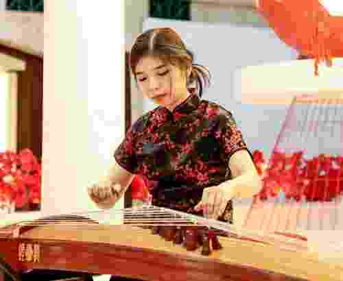 Musik Mandarin Harpa Ehu Guzheng