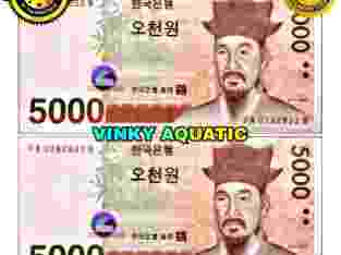 UANG KERTAS 5000 WON KOREA SELATAN KRW GOOD QUALITY