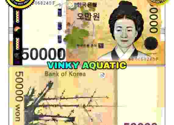 UANG KERTAS 50000 WON KOREA SELATAN KRW GOOD QUALITY