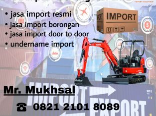 Jasa Import Excavator Mini Ke Indonesia