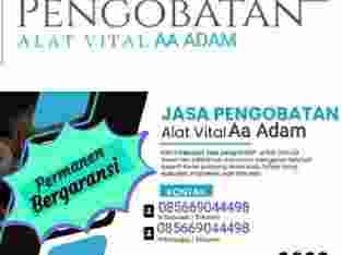 Terapi Alat Vital Denpasar Bali Aa Adam Terbaik