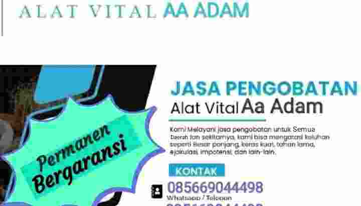 Terapi Alat Vital Tangerang Aa Adam 085669044498