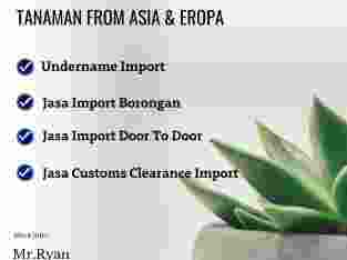 Jasa Import Tanaman | Jasa Import Ekspres