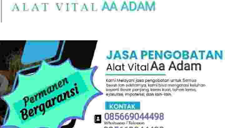 Terapi Alat Vital Pandeglang AA Adam WA.085669044498