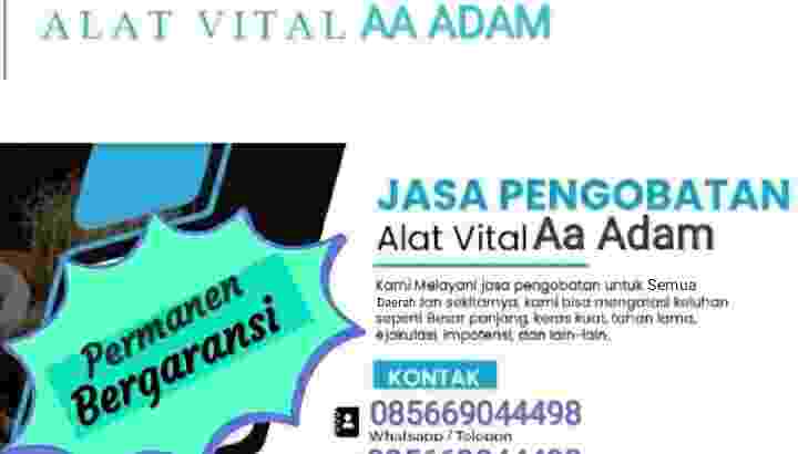 Pengobatan Alat Vital Sidoarjo WA.085669044498