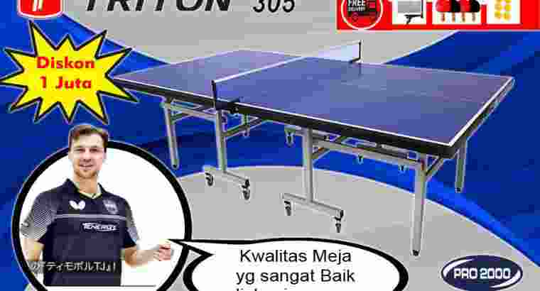 Tenis Meja Pingpong Merk TRITON 305 Diskon 1 juta