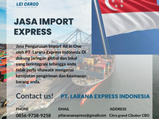 Jasa Import Express Dari Singapore