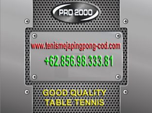 Tenis meja pingpong WINNER buy 1 get 1