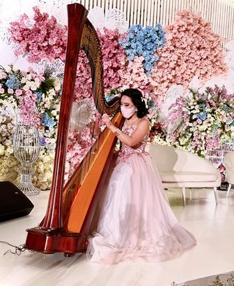 Musik Guzheng Erhu Harpa