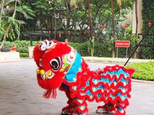 Barongsai Liong koh Babay