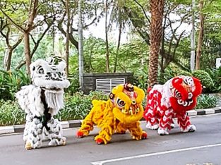 Sewa Barongsai Liong Koh Denis