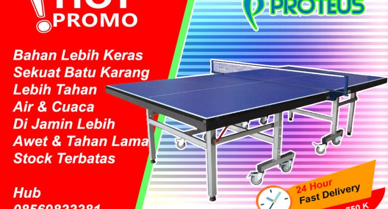 Tenis meja pingpong PROTEUS sekuat batu karang