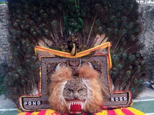 Grup Reog Ponorogo Tirto Budoyo