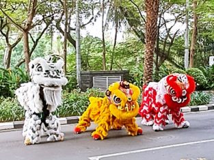 Sewa Barongsai Koh Niki