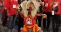 Grup Reog Ponorogo Citro Kusumo