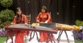 Musik Guzheng Erhu Citra Studio