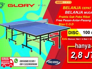 Tenis meja pingpong merk GLORY P01